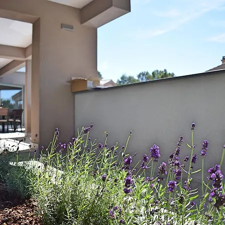 Luxury Adria Lejlighed *